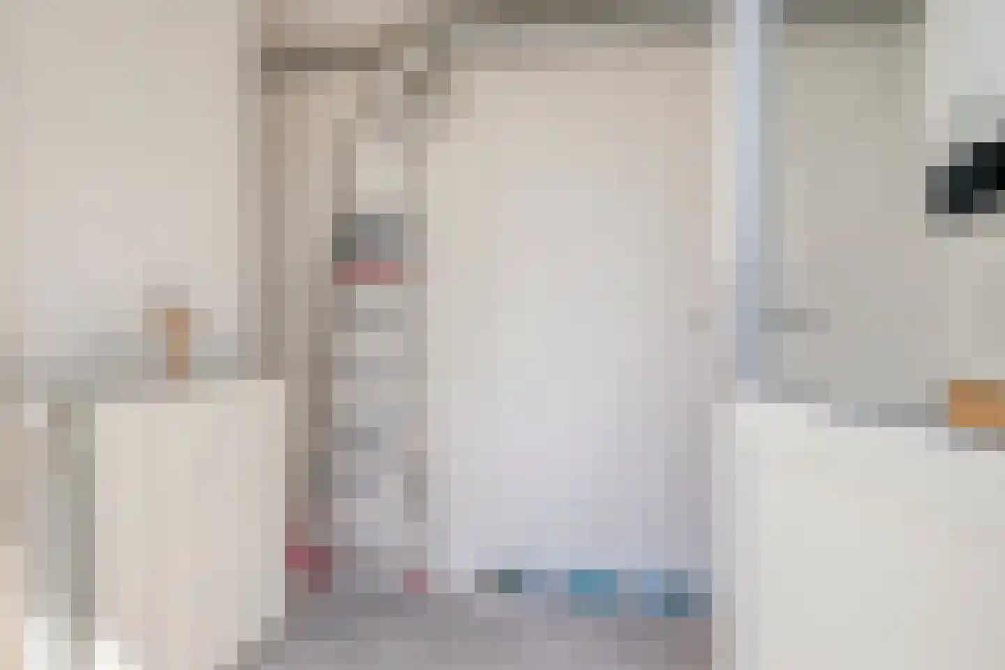 Zilvermeeuw 50 Zoutelande thumbnail 38