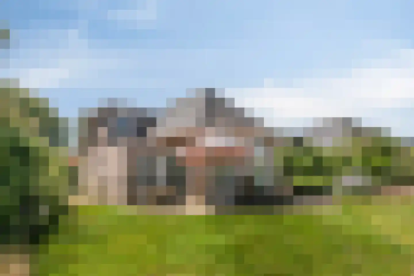 Zilvermeeuw 50 Zoutelande thumbnail 4