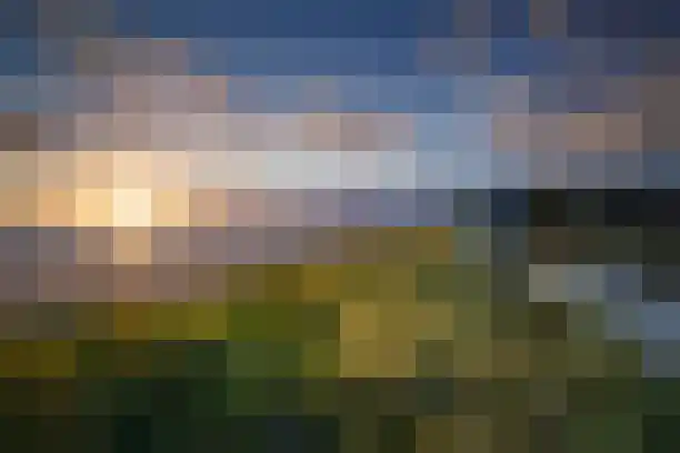 Zilvermeeuw 50 Zoutelande thumbnail 41