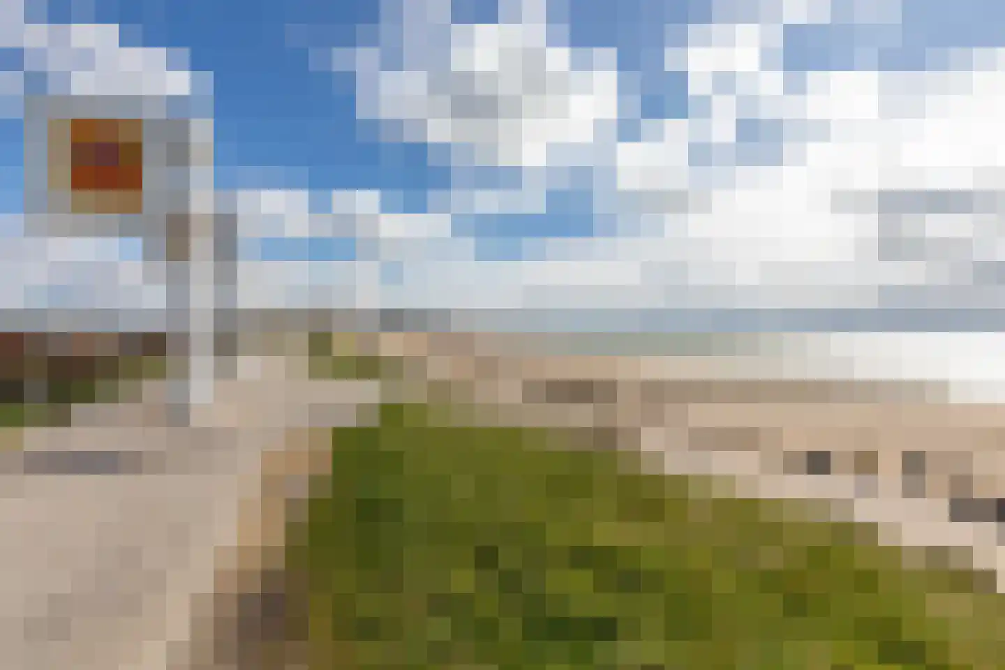 Zilvermeeuw 50 Zoutelande thumbnail 42