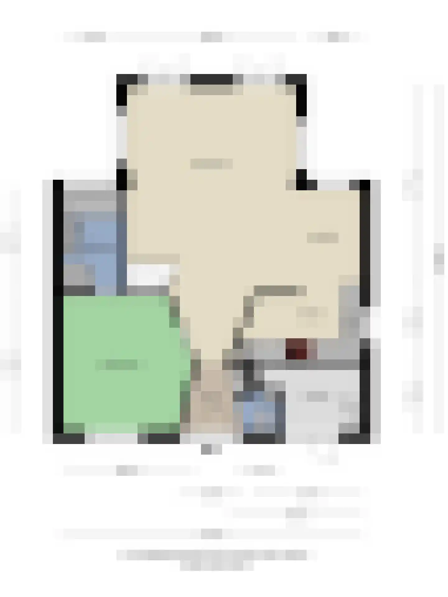 Zilvermeeuw 50 Zoutelande thumbnail 45