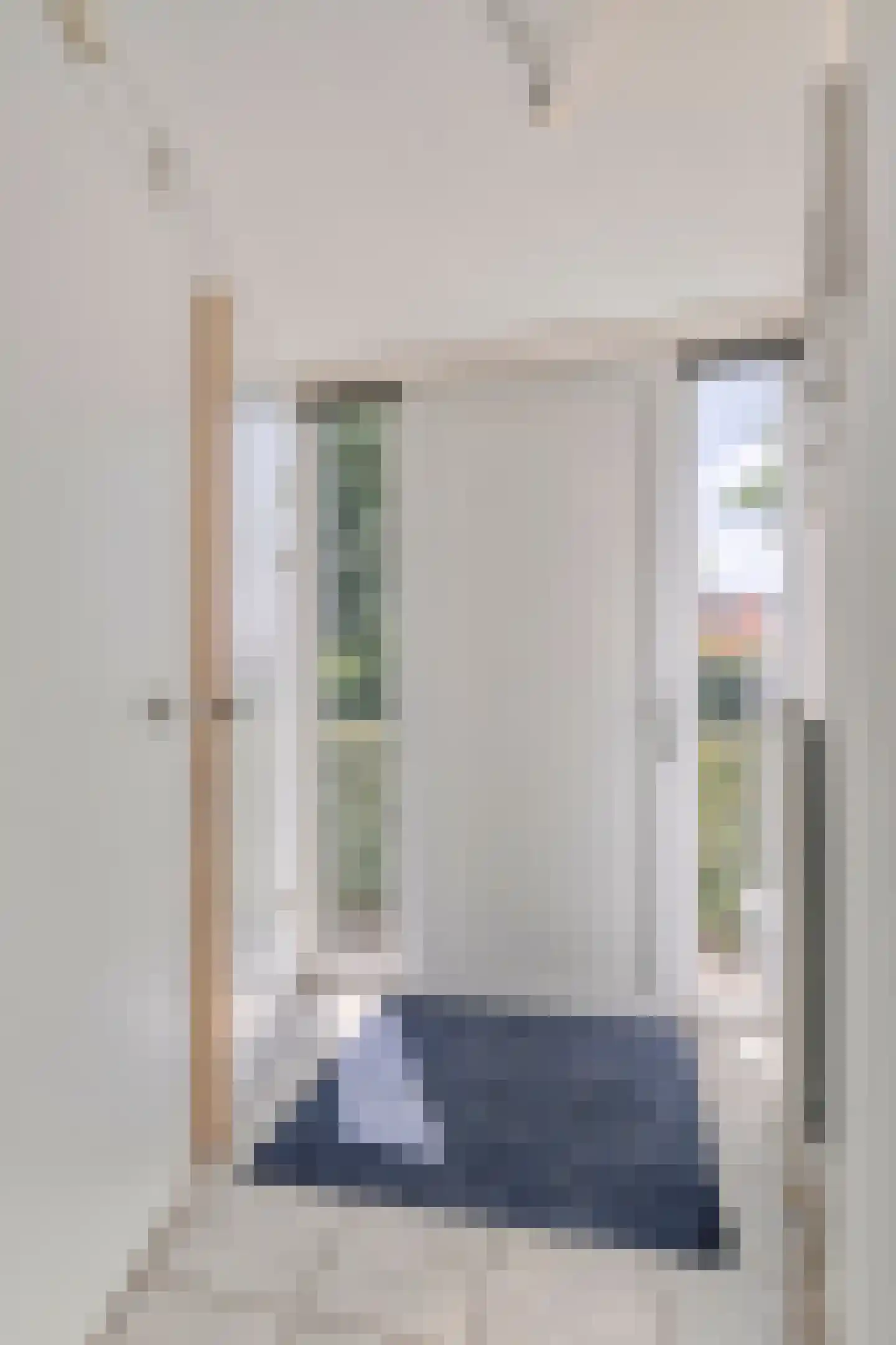 Zilvermeeuw 50 Zoutelande thumbnail 5