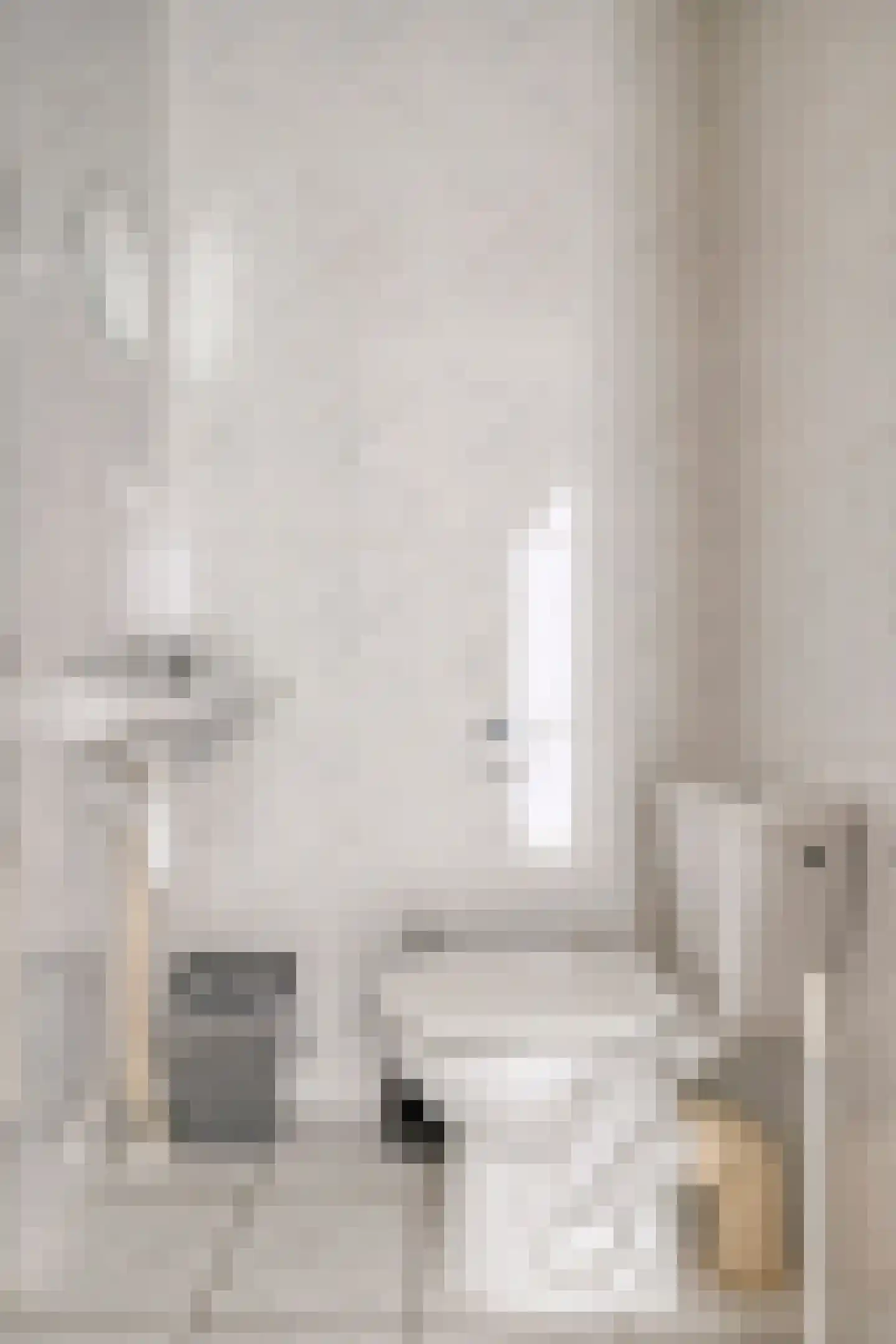 Zilvermeeuw 50 Zoutelande thumbnail 6
