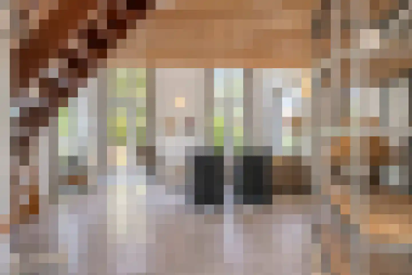 Zilvermeeuw 50 Zoutelande thumbnail 7