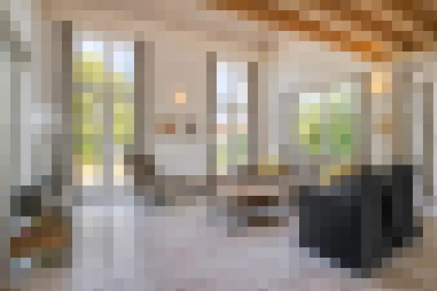 Zilvermeeuw 50 Zoutelande thumbnail 8