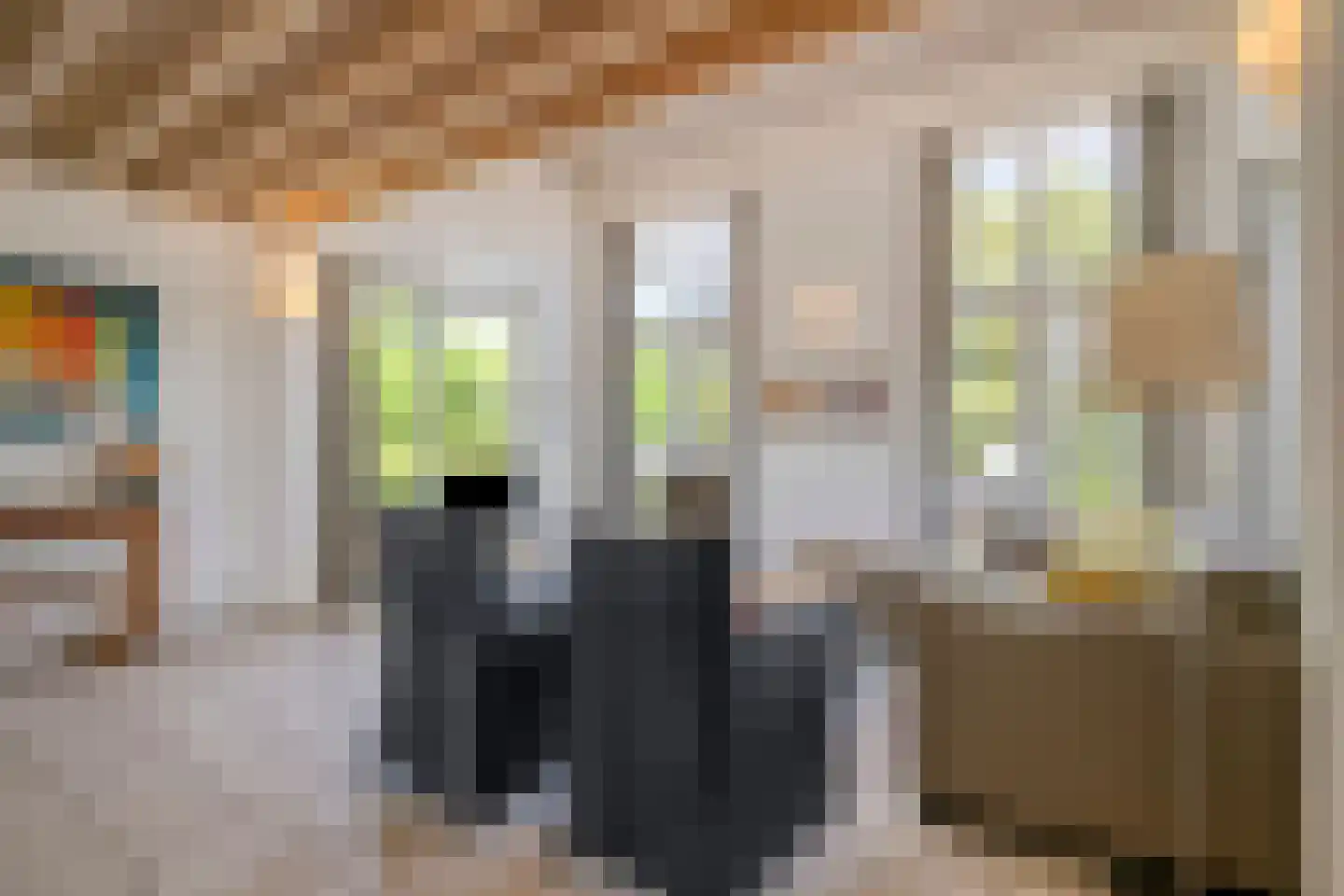 Zilvermeeuw 50 Zoutelande thumbnail 9