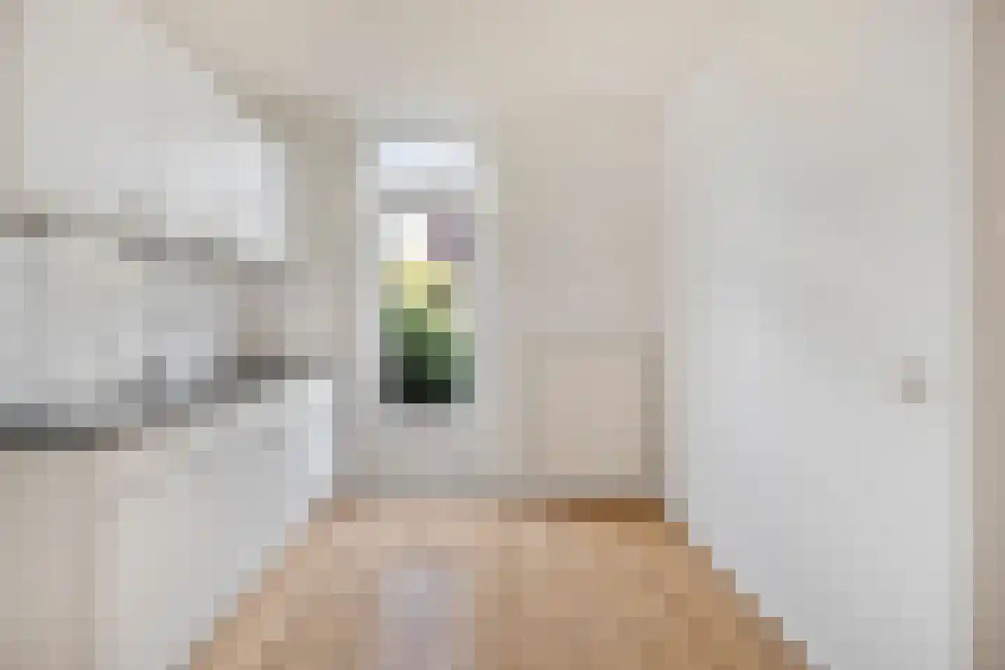 Zilvermeeuw 64 Etten-Leur thumbnail 10