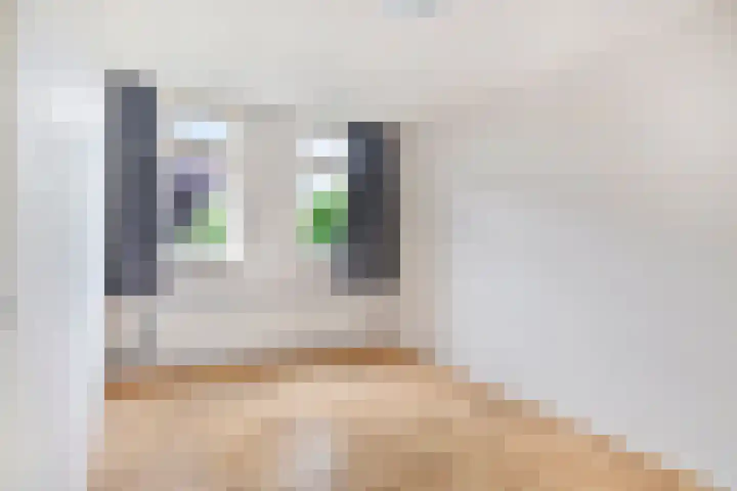 Zilvermeeuw 64 Etten-Leur thumbnail 14