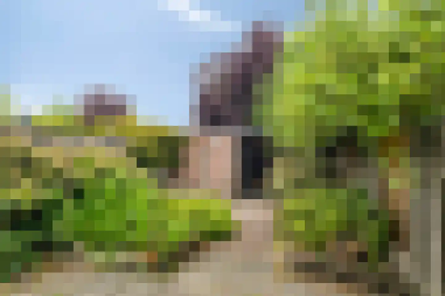 Zilvermeeuw 64 Etten-Leur thumbnail 26