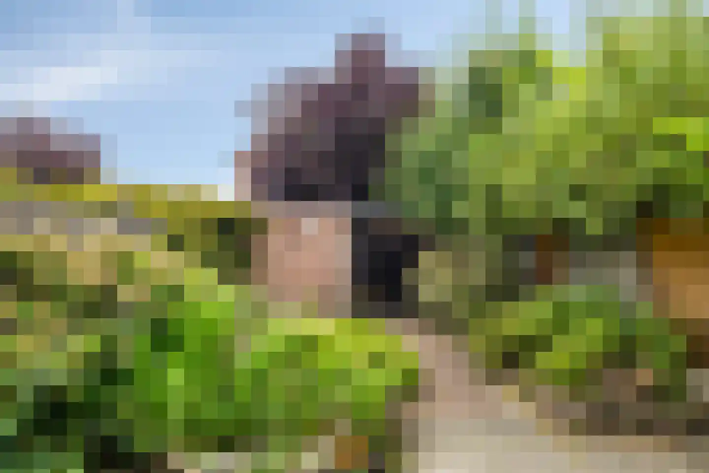 Zilvermeeuw 64 Etten-Leur thumbnail 27