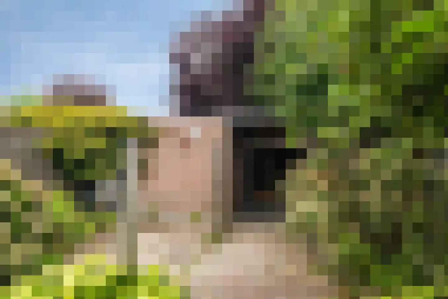 Zilvermeeuw 64 Etten-Leur thumbnail 28