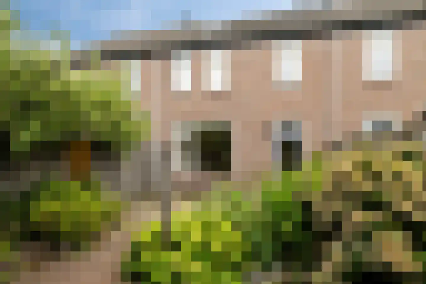 Zilvermeeuw 64 Etten-Leur thumbnail 30
