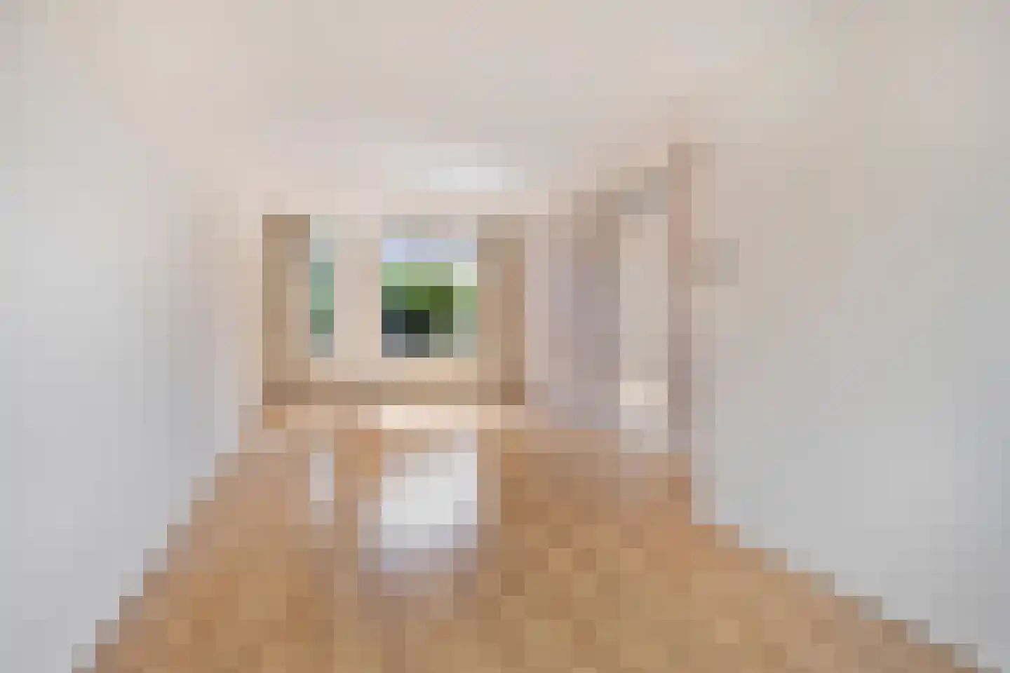 Zilvermeeuw 64 Etten-Leur thumbnail 6