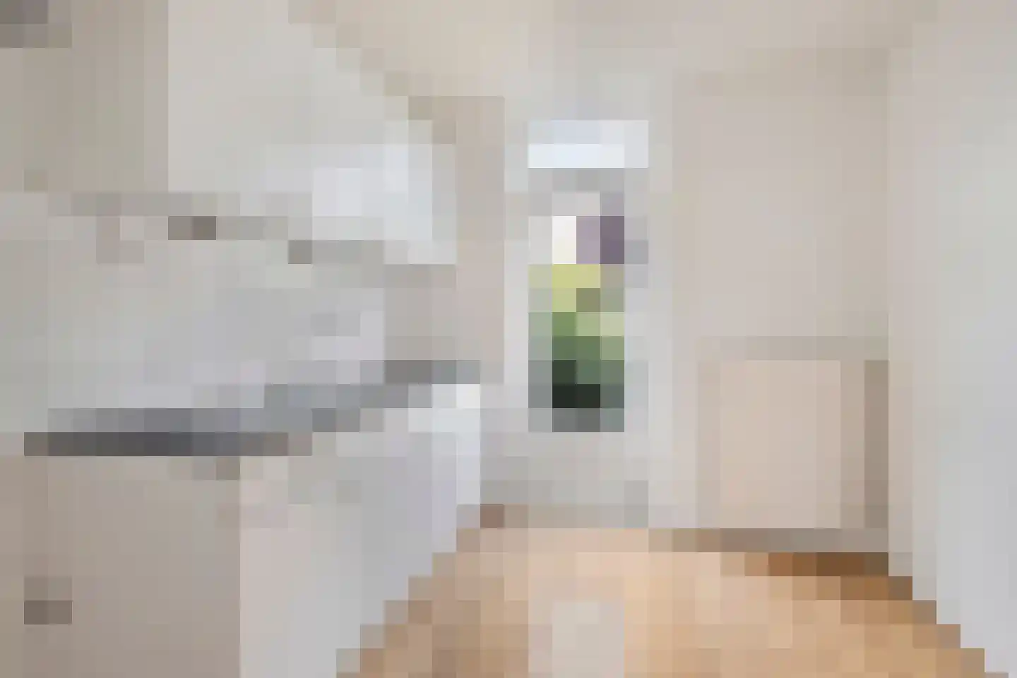 Zilvermeeuw 64 Etten-Leur thumbnail 9