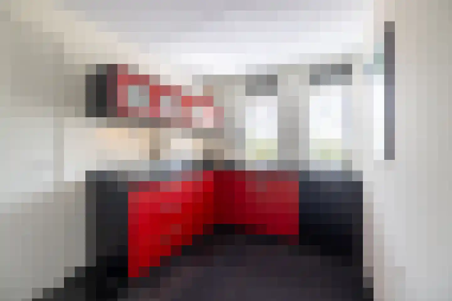 Zilvermeeuw 8 Lathum thumbnail 10