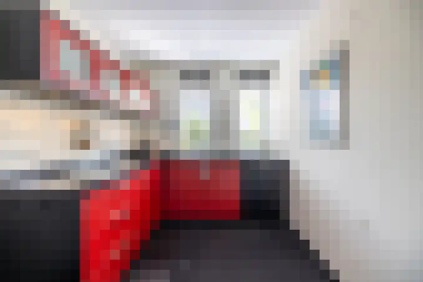 Zilvermeeuw 8 Lathum thumbnail 11