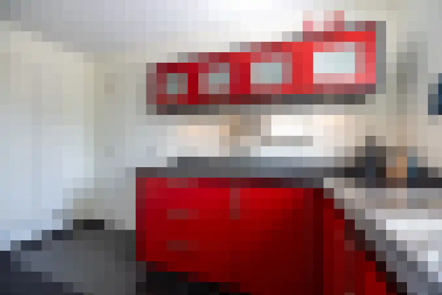 Zilvermeeuw 8 Lathum thumbnail 13