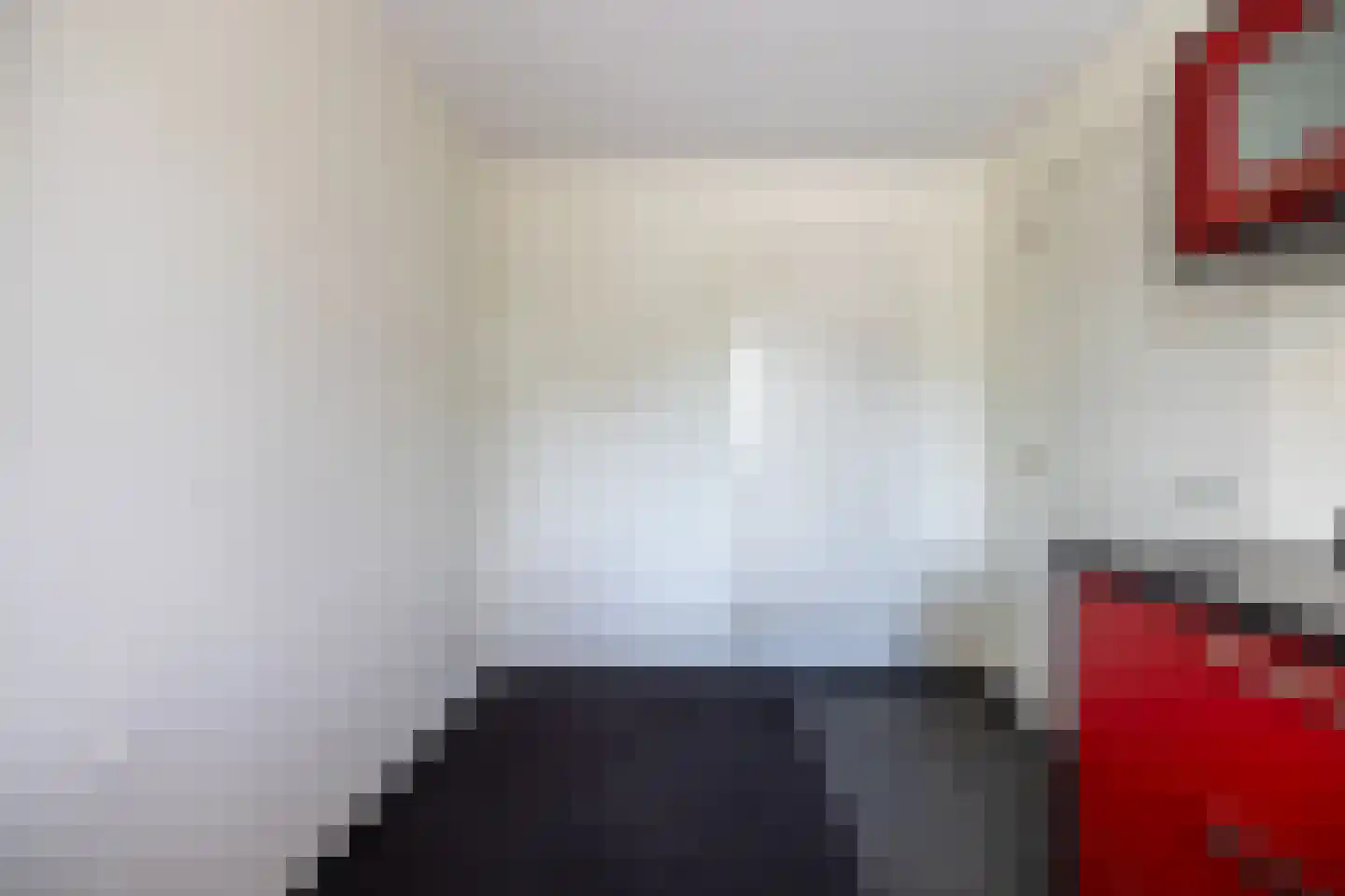 Zilvermeeuw 8 Lathum thumbnail 14