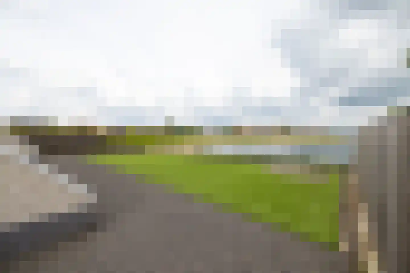 Zilvermeeuw 8 Lathum thumbnail 15