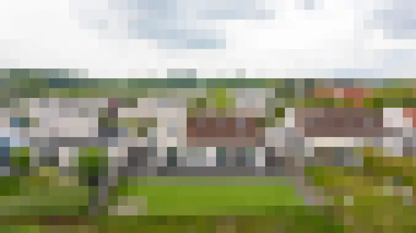 Zilvermeeuw 8 Lathum thumbnail 18