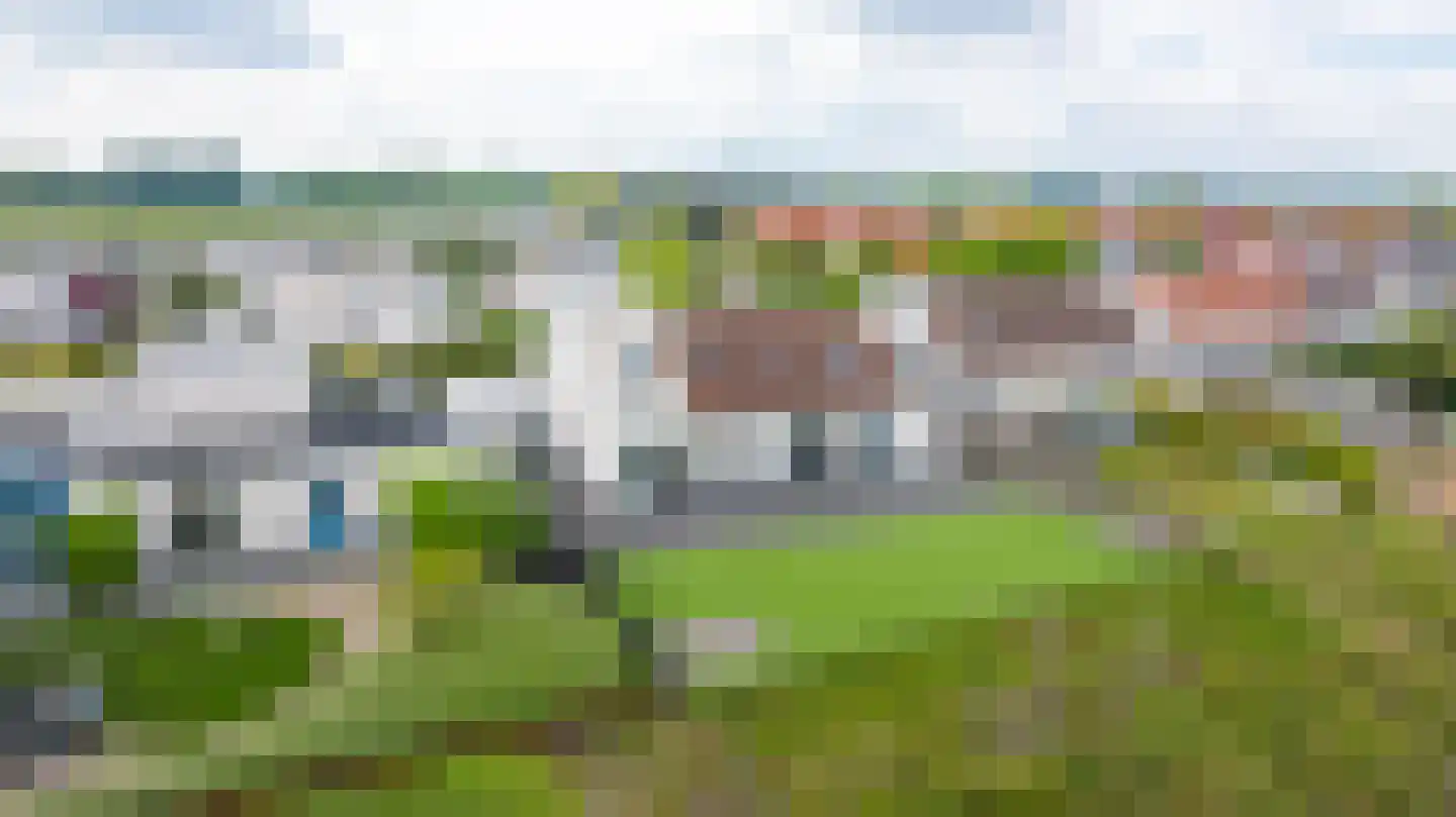 Zilvermeeuw 8 Lathum thumbnail 19
