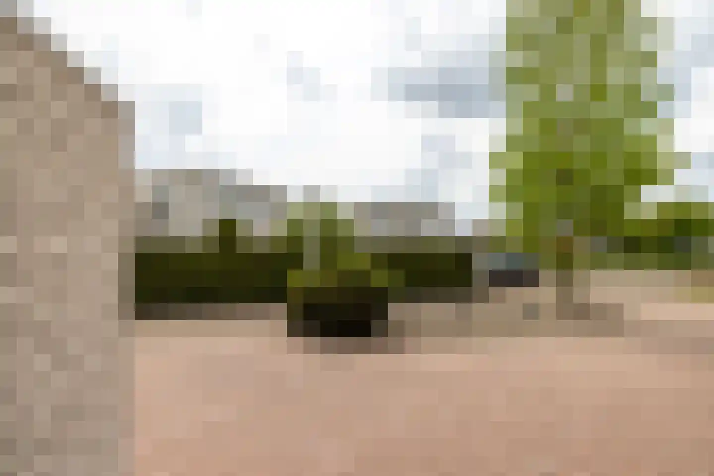 Zilvermeeuw 8 Lathum thumbnail 21