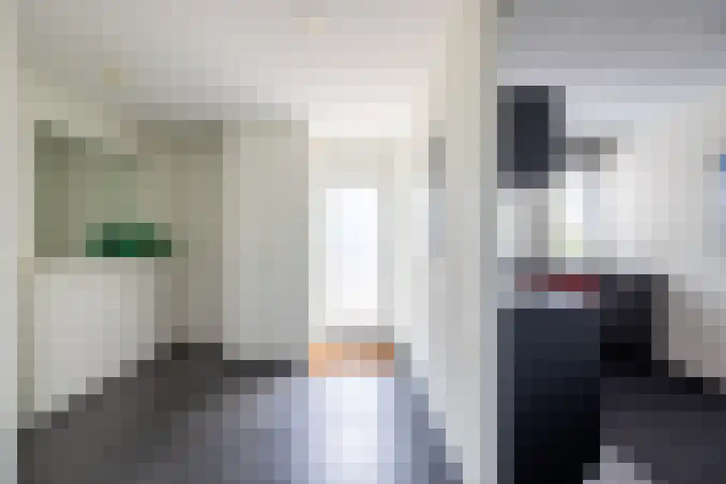 Zilvermeeuw 8 Lathum thumbnail 24