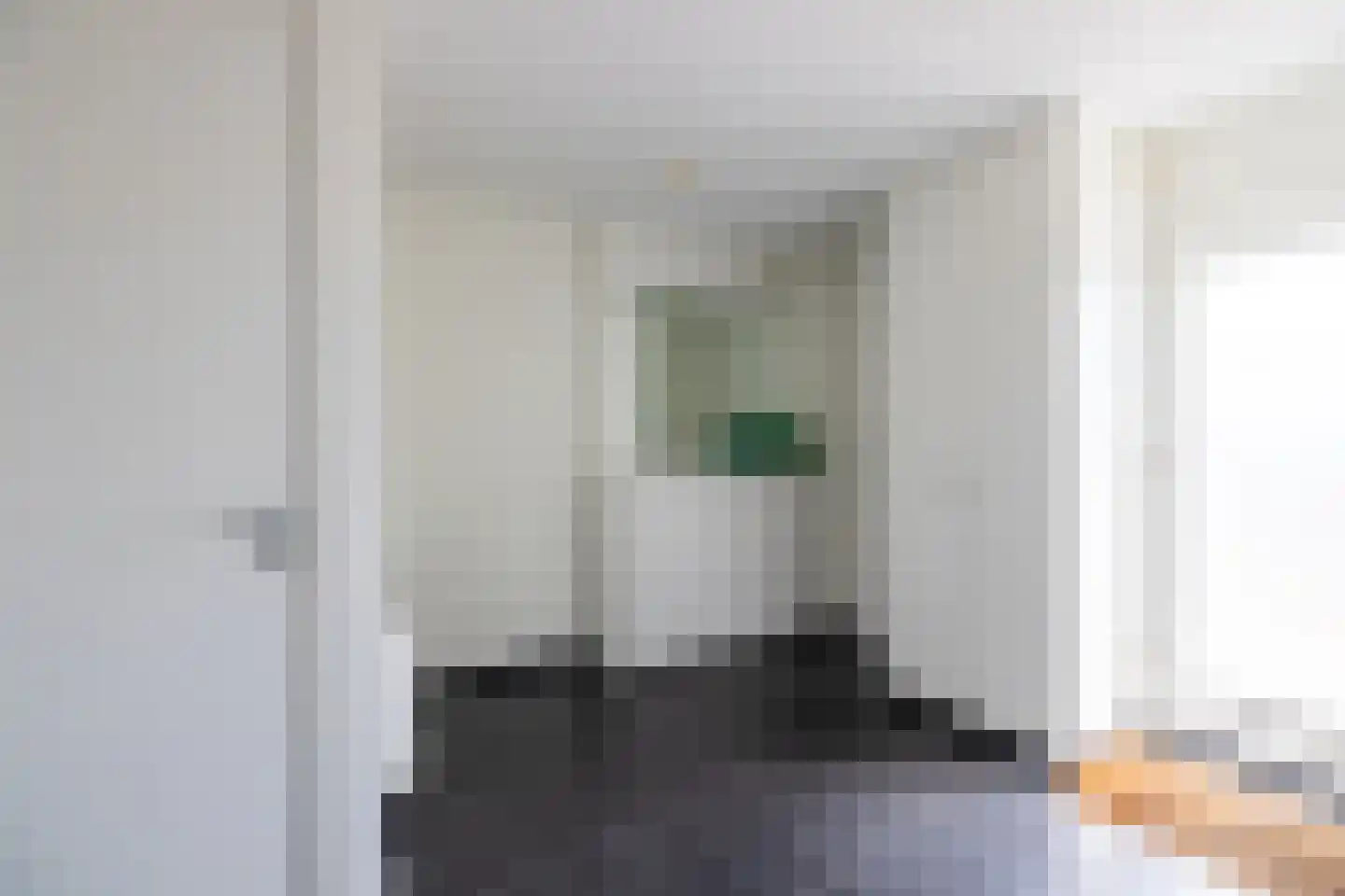 Zilvermeeuw 8 Lathum thumbnail 25