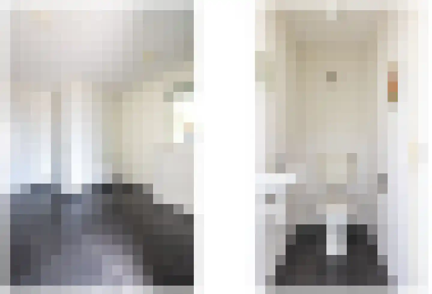 Zilvermeeuw 8 Lathum thumbnail 26
