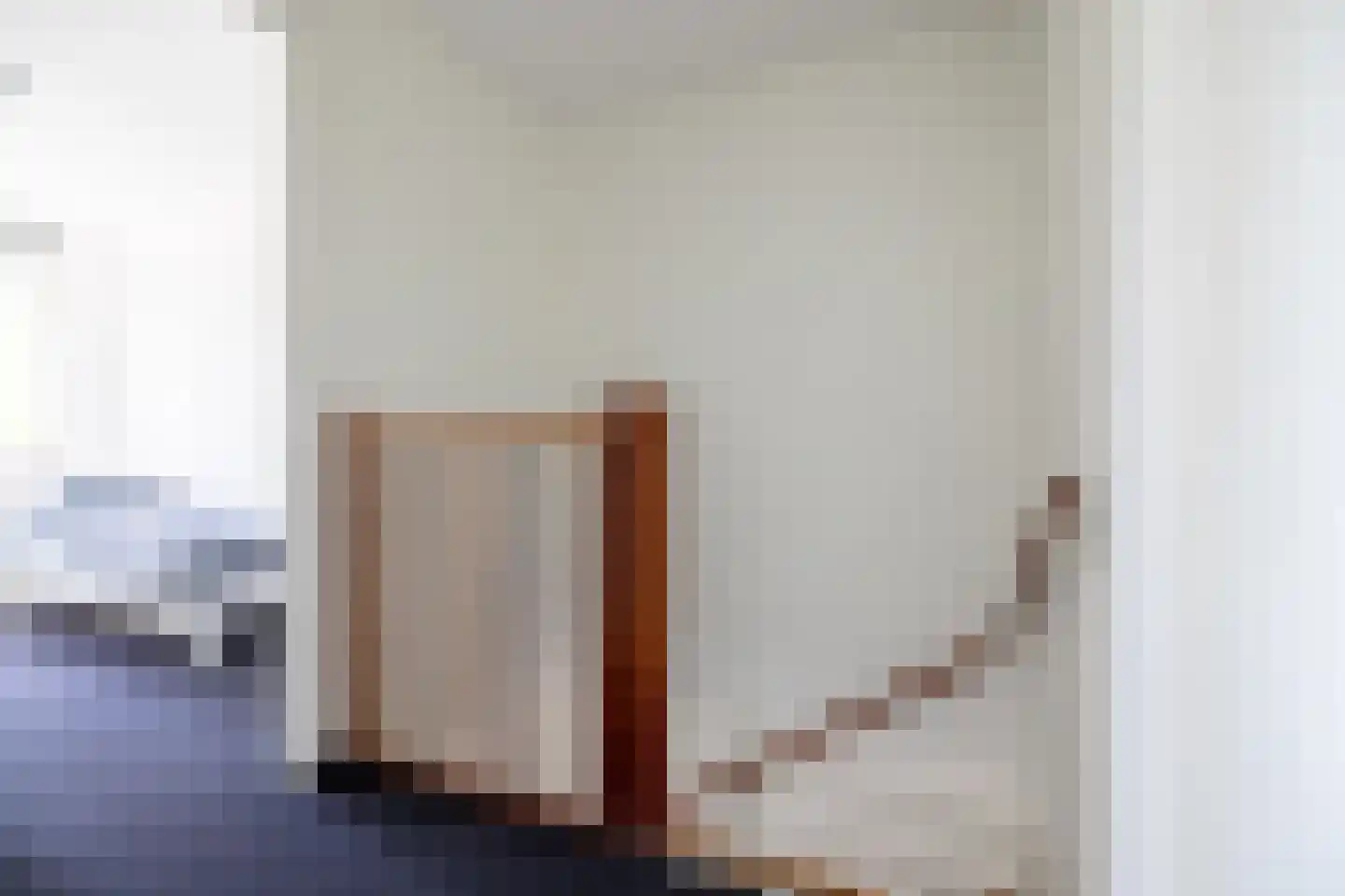 Zilvermeeuw 8 Lathum thumbnail 27