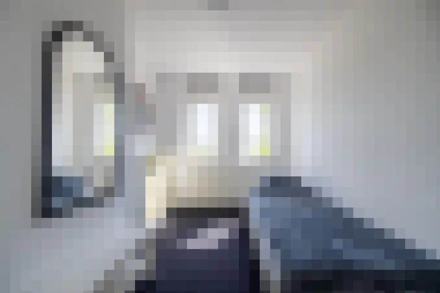 Zilvermeeuw 8 Lathum thumbnail 28