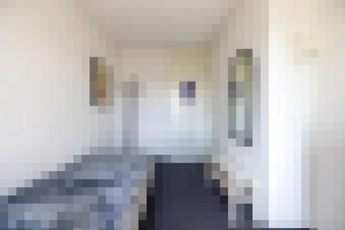 Zilvermeeuw 8 Lathum thumbnail 29