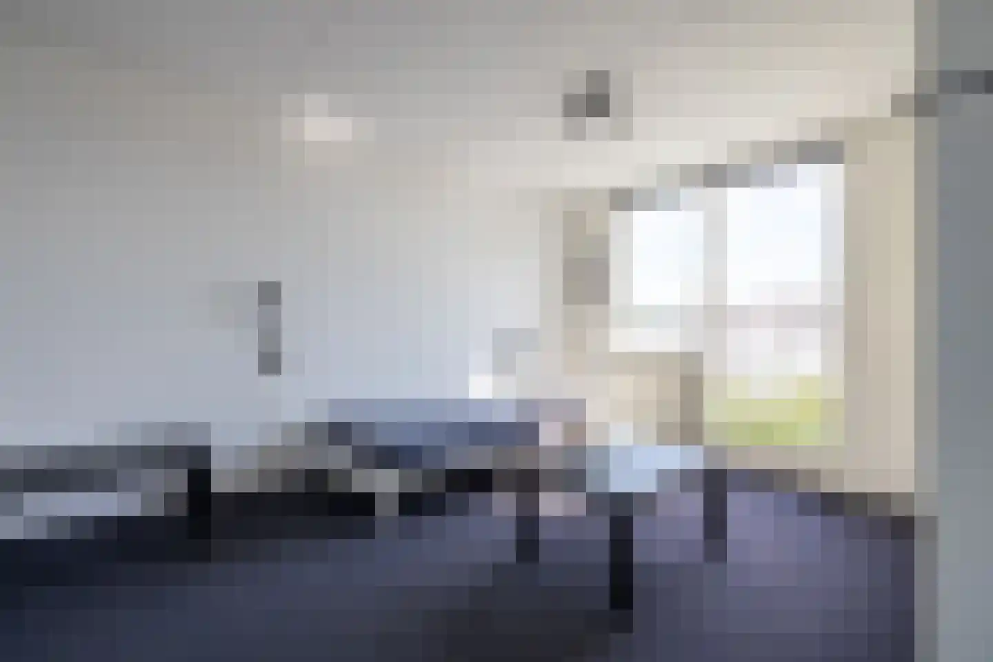 Zilvermeeuw 8 Lathum thumbnail 30