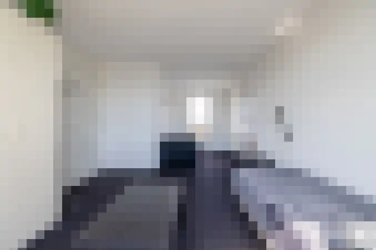 Zilvermeeuw 8 Lathum thumbnail 31