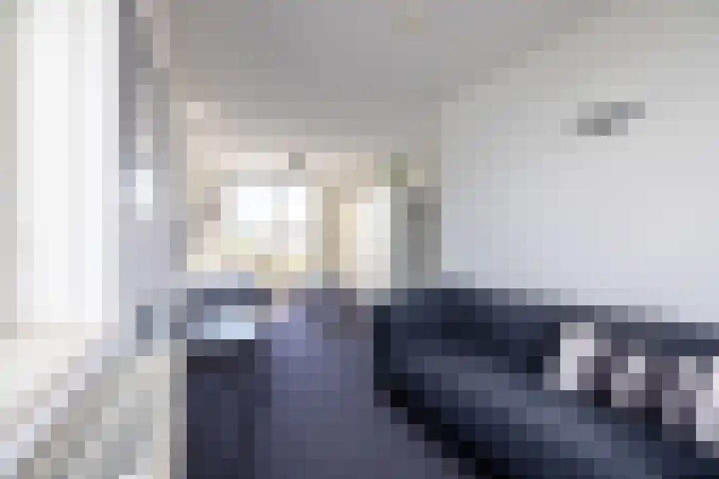 Zilvermeeuw 8 Lathum thumbnail 32
