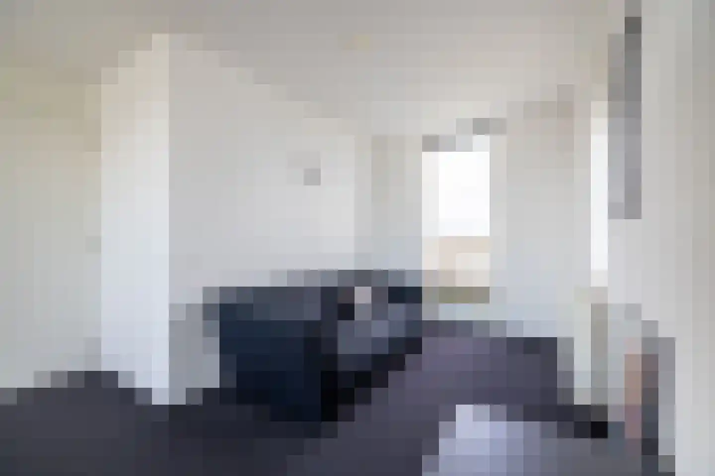 Zilvermeeuw 8 Lathum thumbnail 33