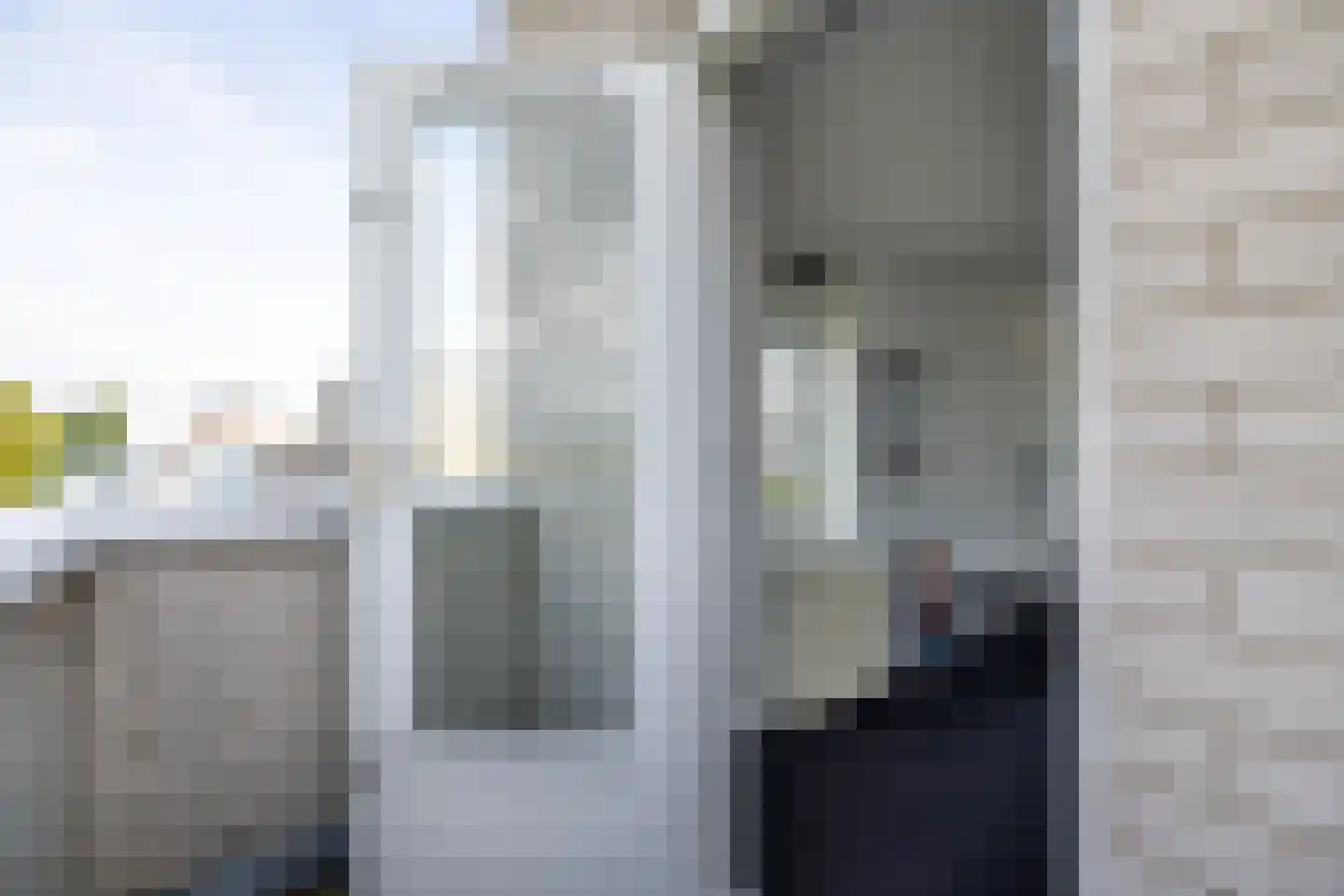 Zilvermeeuw 8 Lathum thumbnail 34