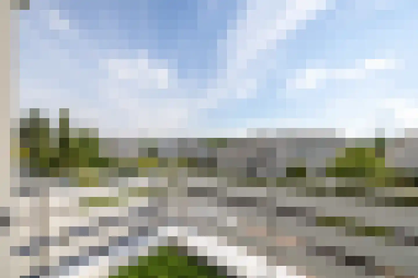 Zilvermeeuw 8 Lathum thumbnail 35