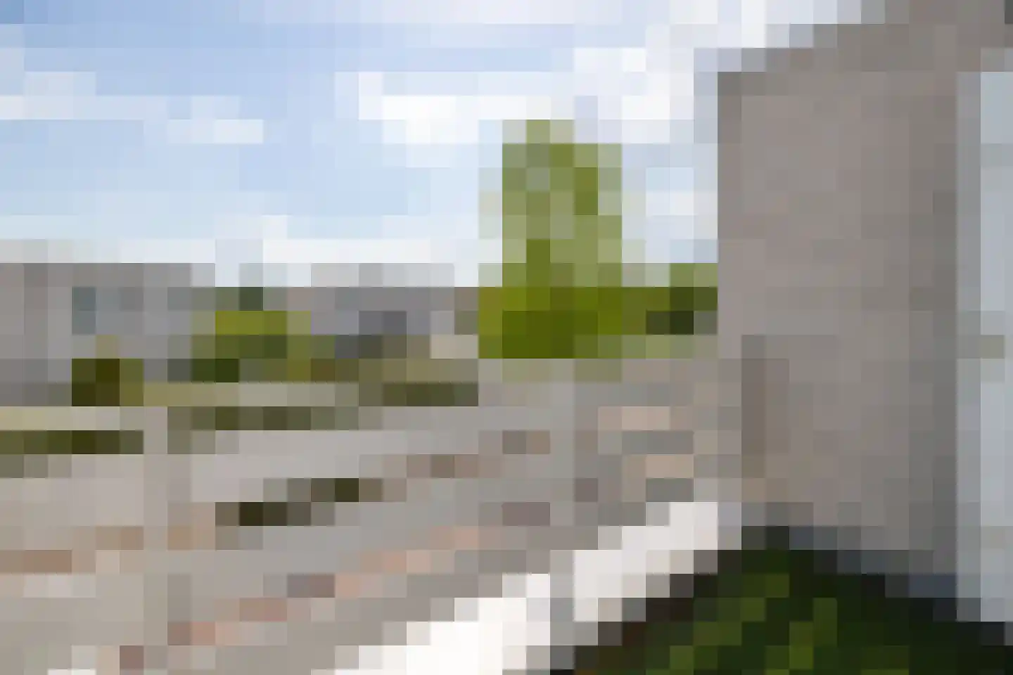 Zilvermeeuw 8 Lathum thumbnail 36