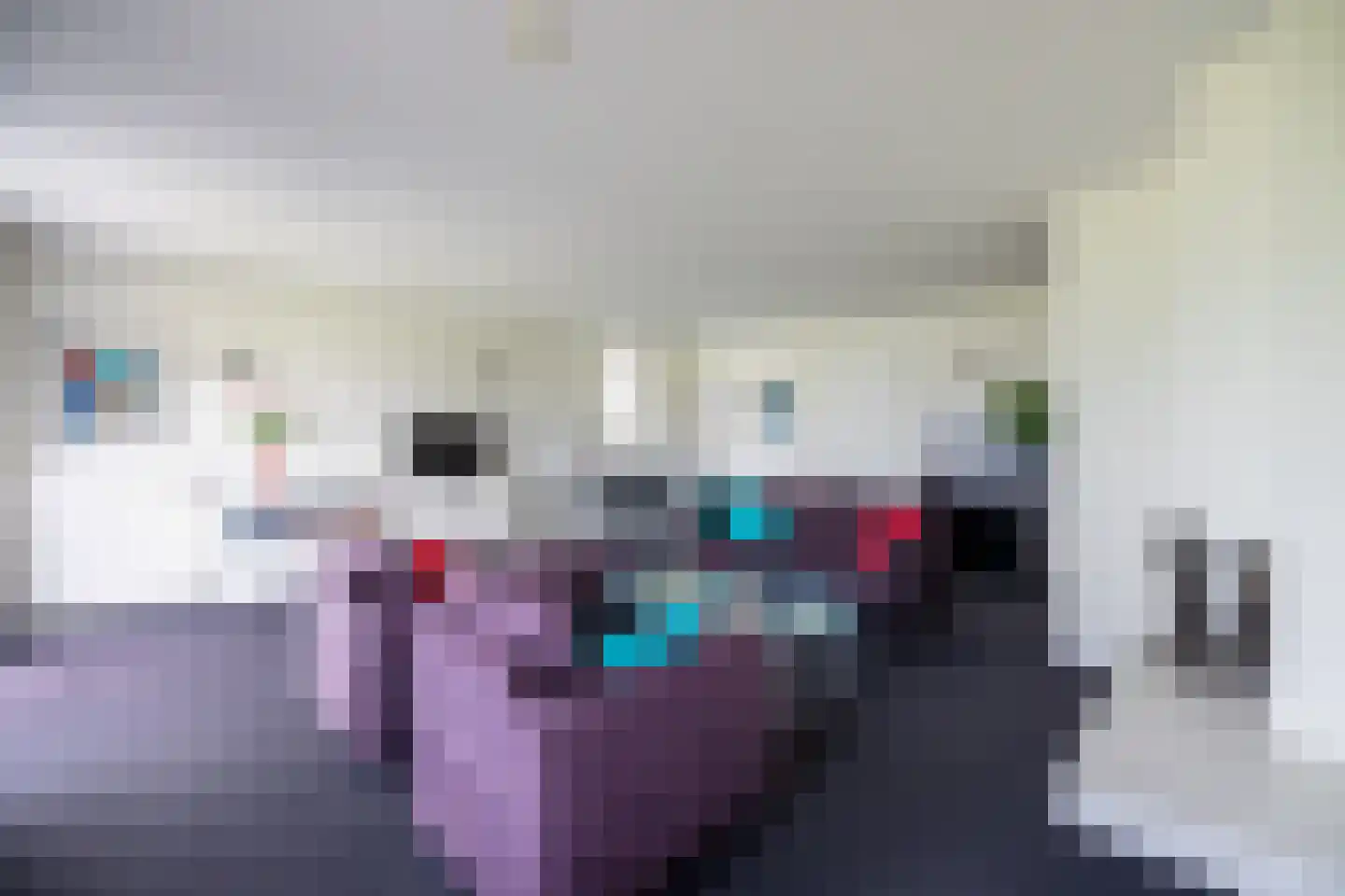 Zilvermeeuw 8 Lathum thumbnail 4