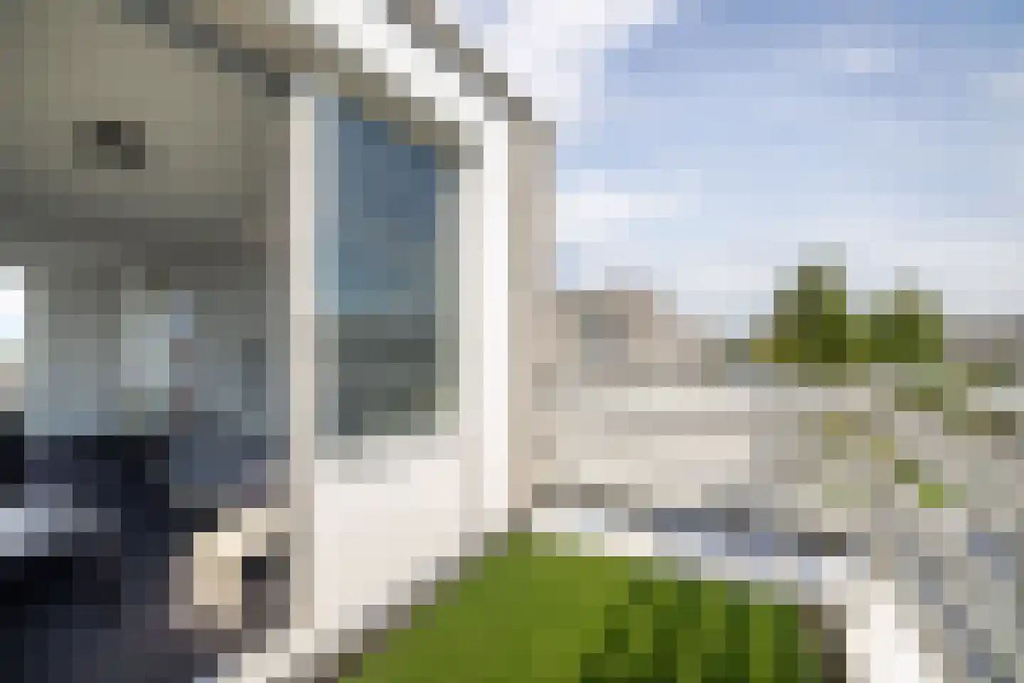 Zilvermeeuw 8 Lathum thumbnail 40