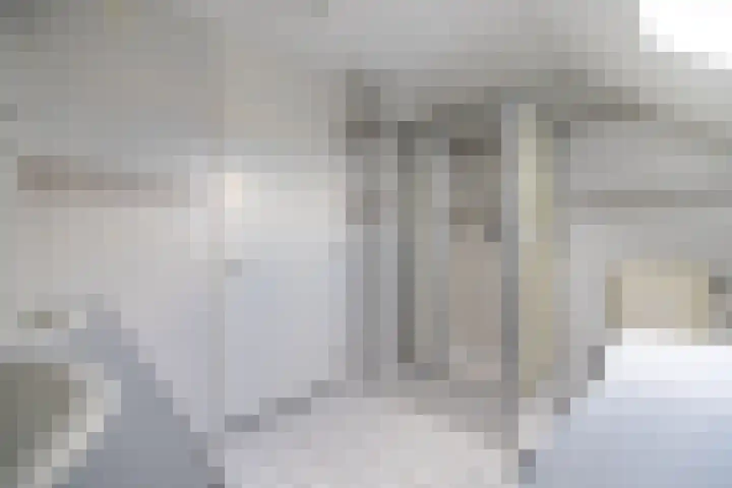 Zilvermeeuw 8 Lathum thumbnail 41