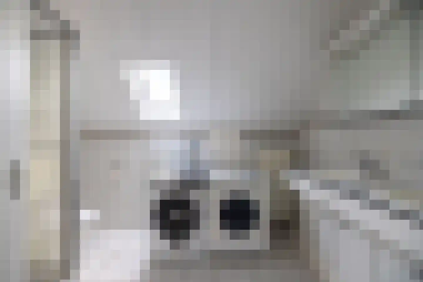 Zilvermeeuw 8 Lathum thumbnail 42