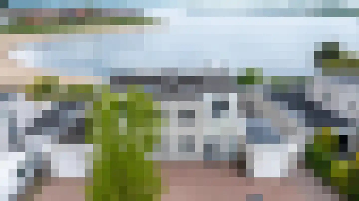 Zilvermeeuw 8 Lathum thumbnail 44