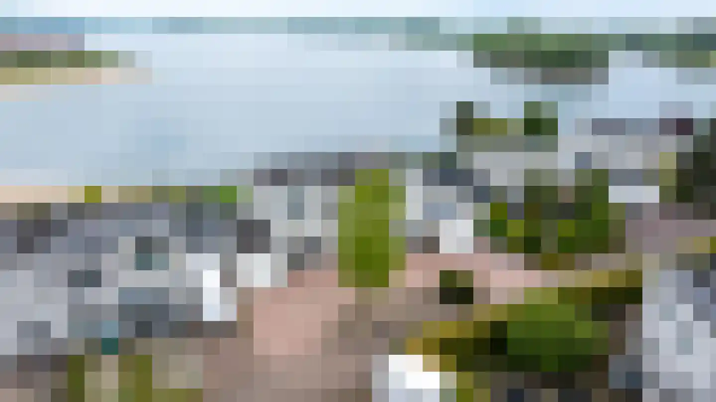 Zilvermeeuw 8 Lathum thumbnail 45