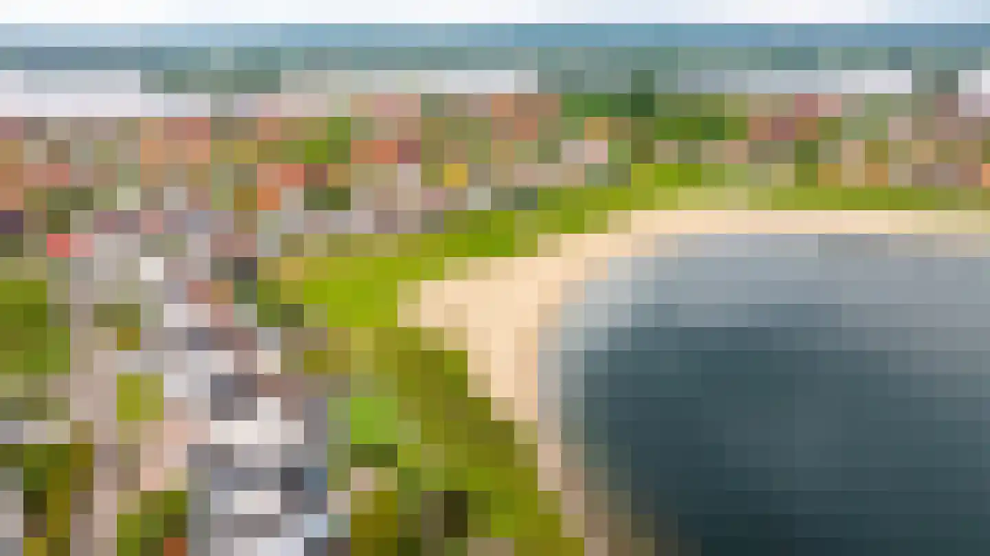 Zilvermeeuw 8 Lathum thumbnail 47