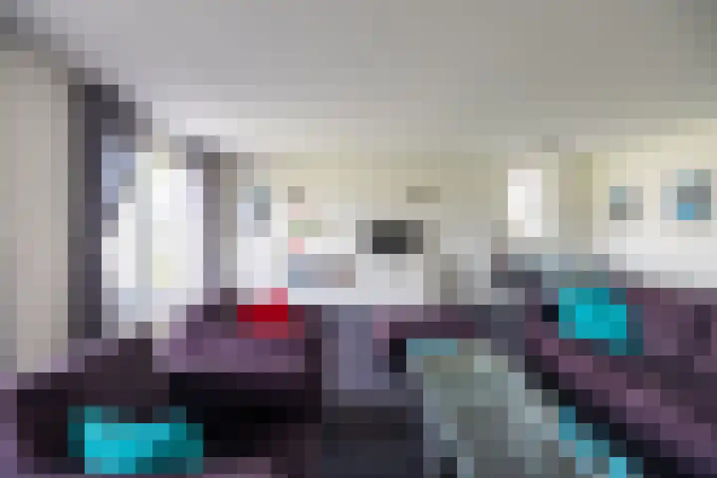 Zilvermeeuw 8 Lathum thumbnail 5