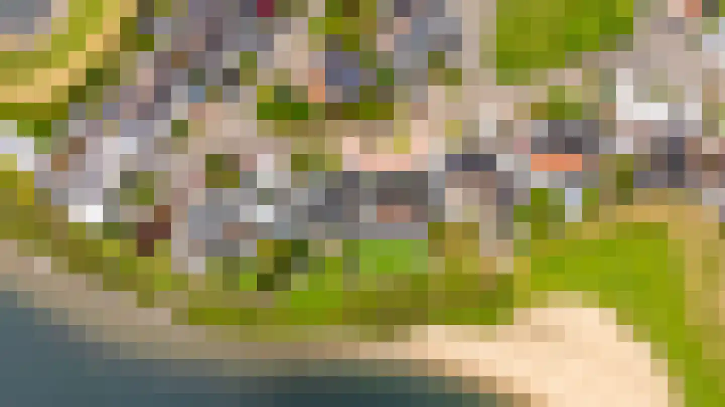 Zilvermeeuw 8 Lathum thumbnail 50