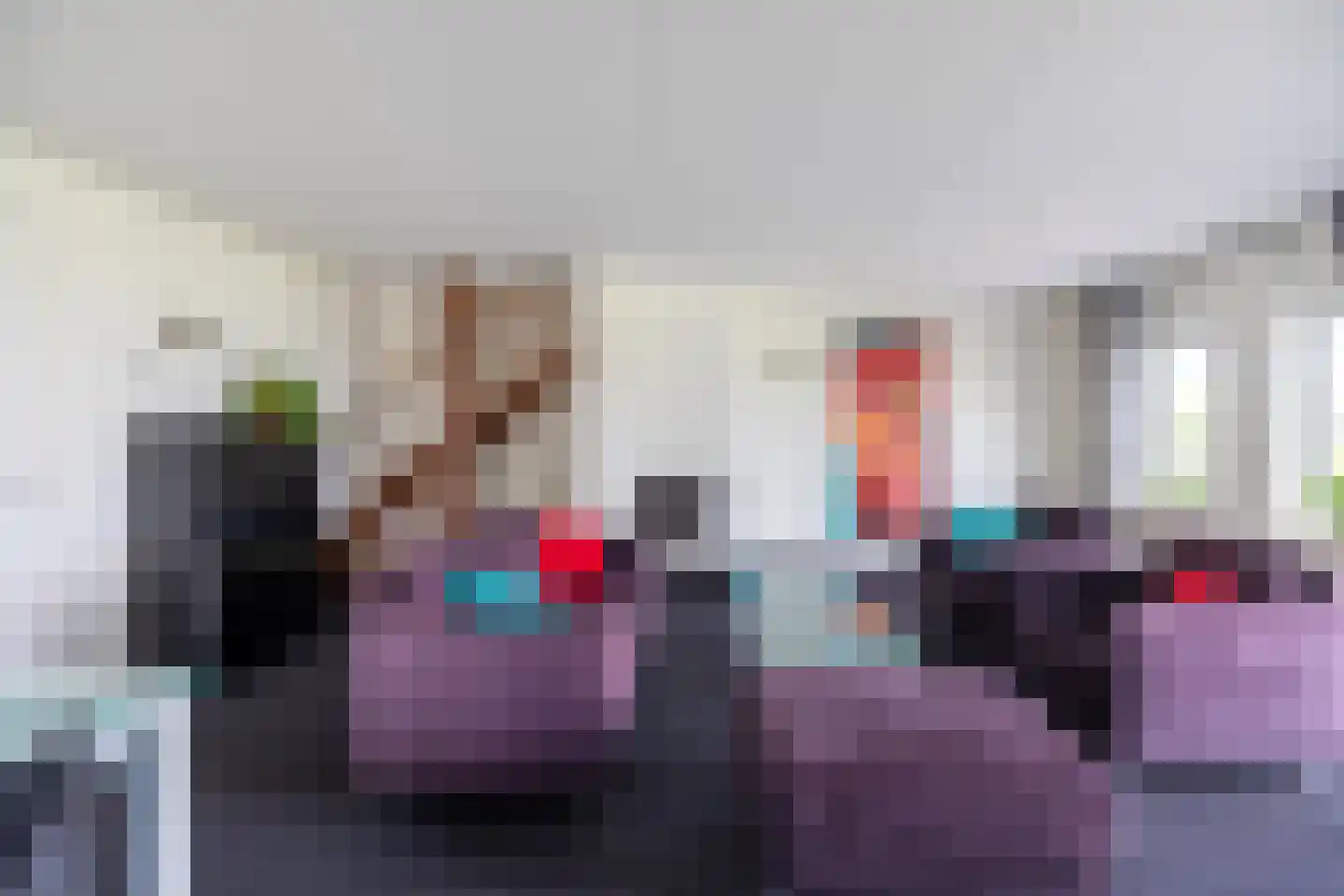 Zilvermeeuw 8 Lathum thumbnail 6