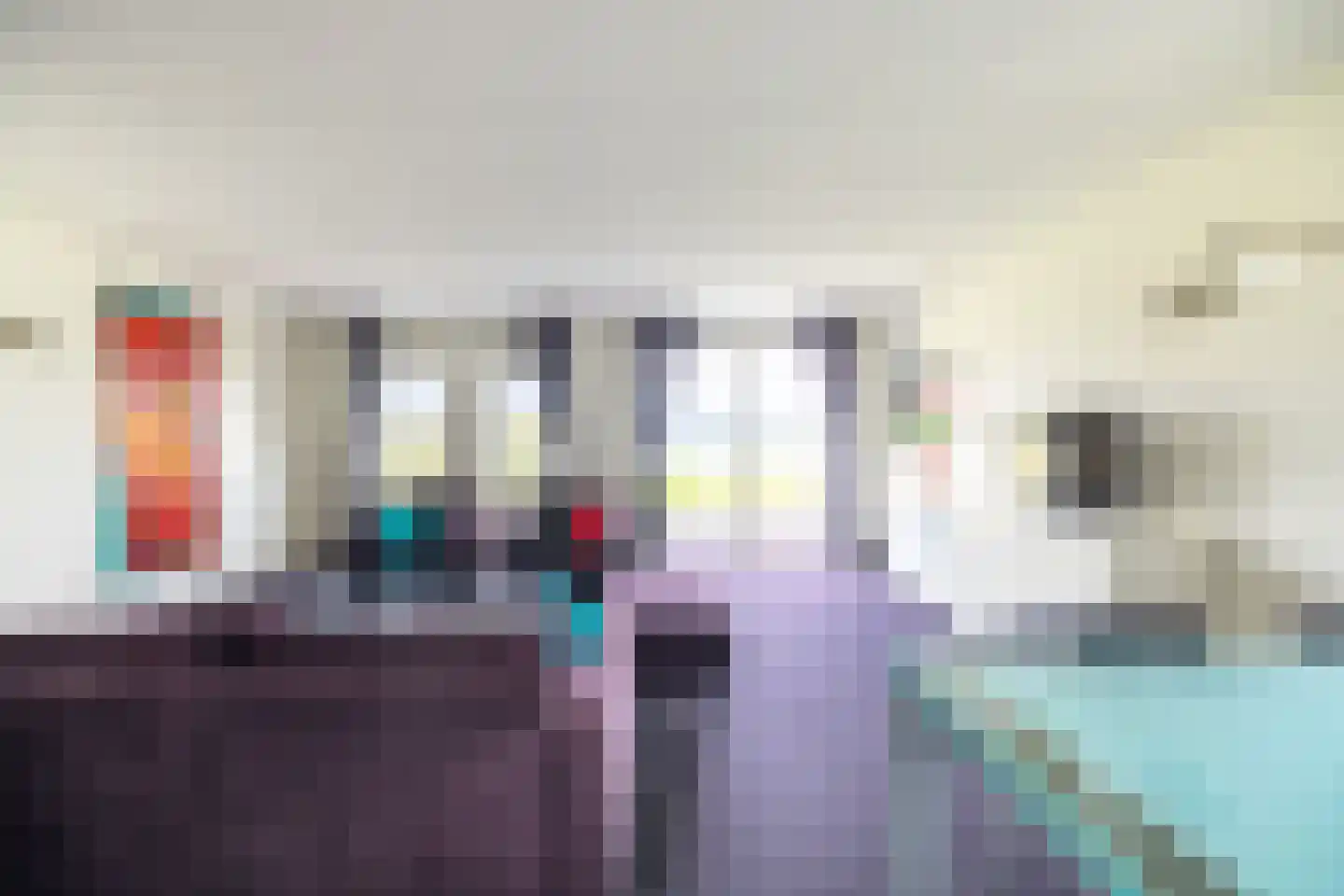 Zilvermeeuw 8 Lathum thumbnail 7